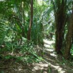 listing image thumbnail with ID 86758