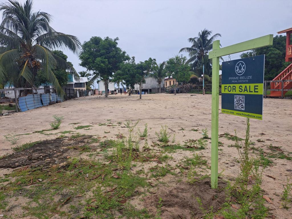 listing image with ID 91488