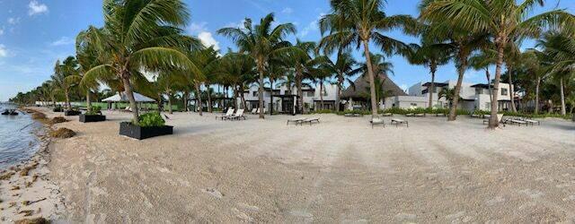 listing image with ID 95971