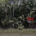 listing image thumbnail with ID 99494