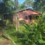 listing image thumbnail with ID 99278