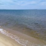 listing image thumbnail with ID 98722