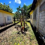 listing image thumbnail with ID 109124