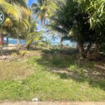 listing image thumbnail with ID 89100