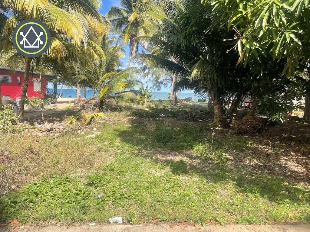 listing image with ID 89100