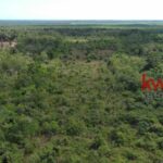 listing image thumbnail with ID 103663