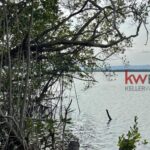listing image thumbnail with ID 86539