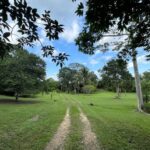listing image thumbnail with ID 98765