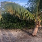 listing image thumbnail with ID 100570