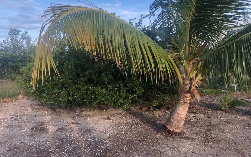 listing image with ID 100570