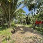 listing image thumbnail with ID 90248