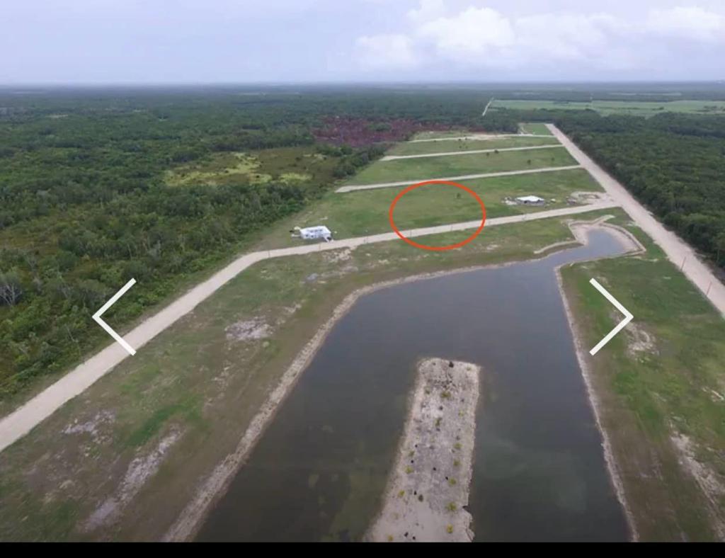 listing image with ID 103459