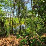 listing image thumbnail with ID 77528
