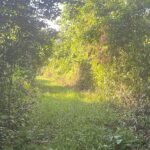 listing image thumbnail with ID 82457
