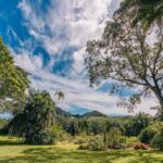 listing image thumbnail with ID 74537