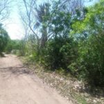 listing image thumbnail with ID 94605