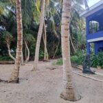 listing image thumbnail with ID 106370
