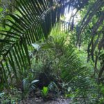 listing image thumbnail with ID 78441