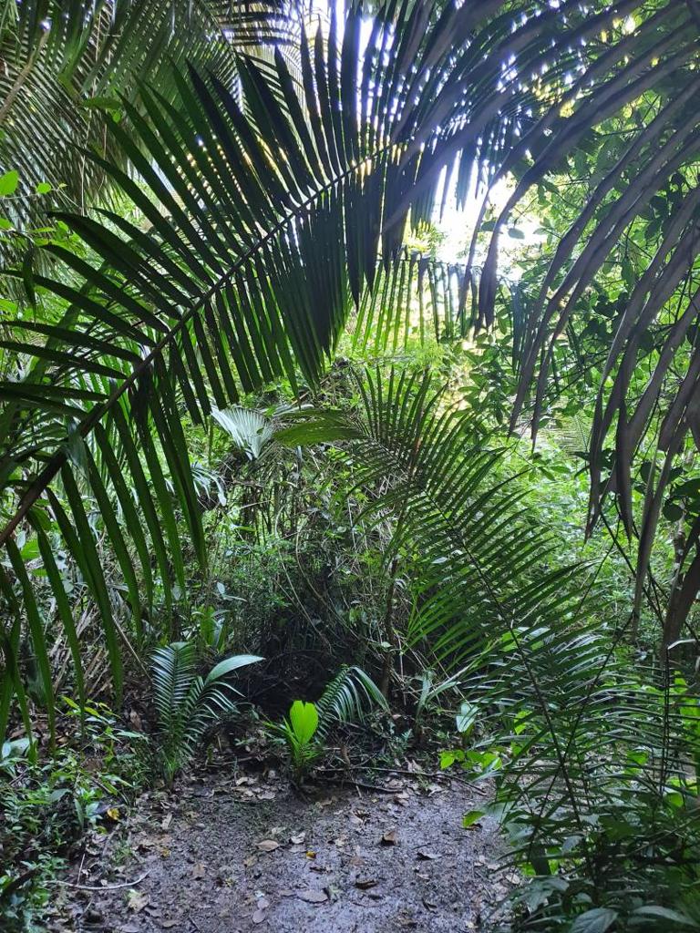 listing image with ID 78441