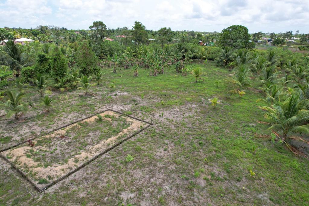 listing image with ID 104804
