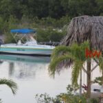 listing image thumbnail with ID 92072