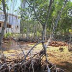 listing image thumbnail with ID 101841
