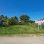 listing image thumbnail with ID 102967