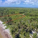 listing image thumbnail with ID 107863