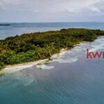 listing image thumbnail with ID 80288