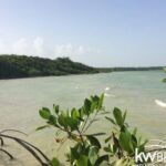 listing image thumbnail with ID 75670