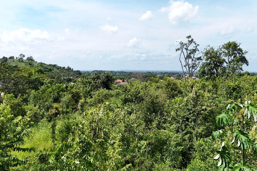listing image with ID 86767