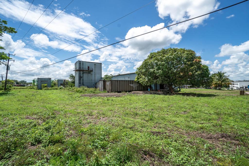 listing image with ID 90929