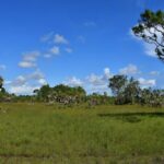 listing image thumbnail with ID 108592