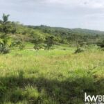 listing image thumbnail with ID 92655