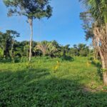 listing image thumbnail with ID 76936