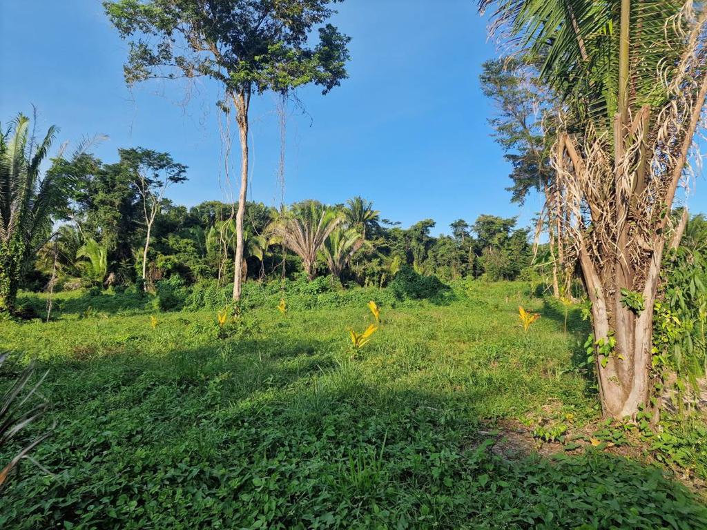 listing image with ID 76936