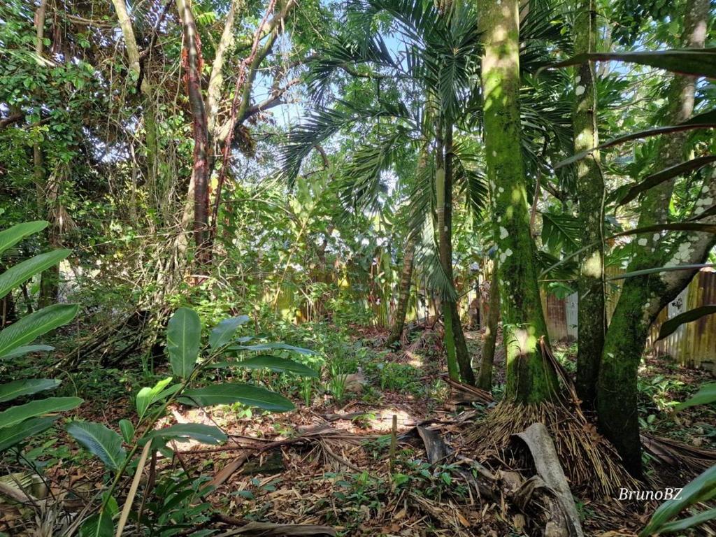 listing image with ID 103439