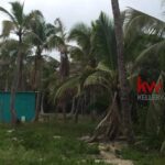 listing image thumbnail with ID 103361