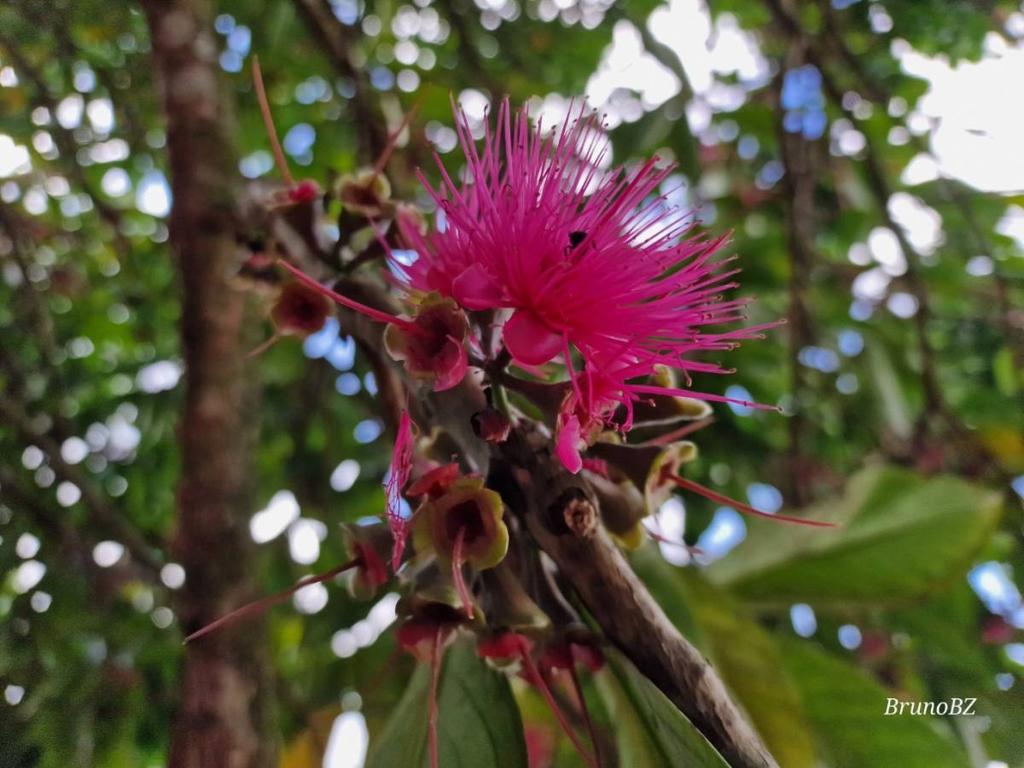 listing image with ID 106597