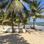 listing image thumbnail with ID 93249