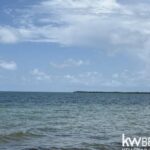 listing image thumbnail with ID 93189