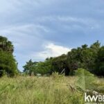 listing image thumbnail with ID 84394