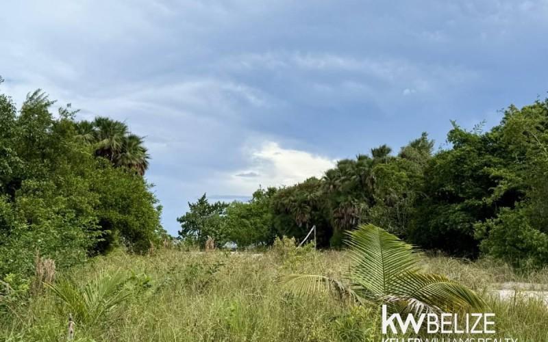 listing image with ID 84394