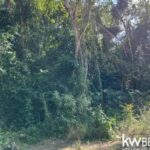 listing image thumbnail with ID 83946