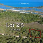 listing image thumbnail with ID 93923