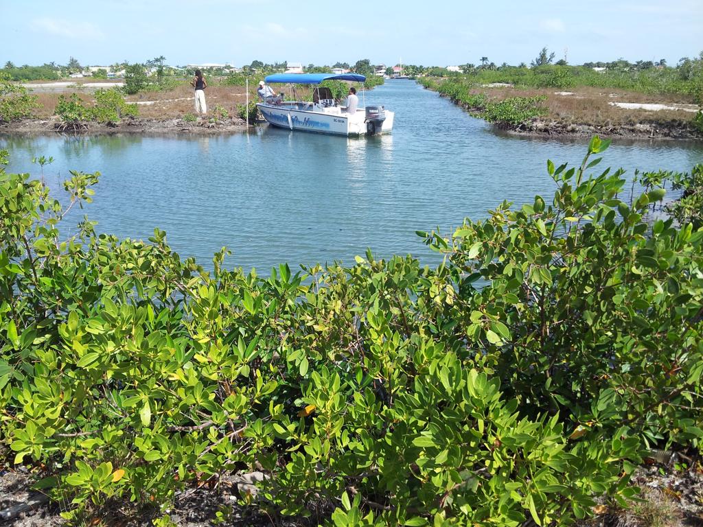 listing image with ID 74505