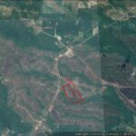 listing image thumbnail with ID 100778