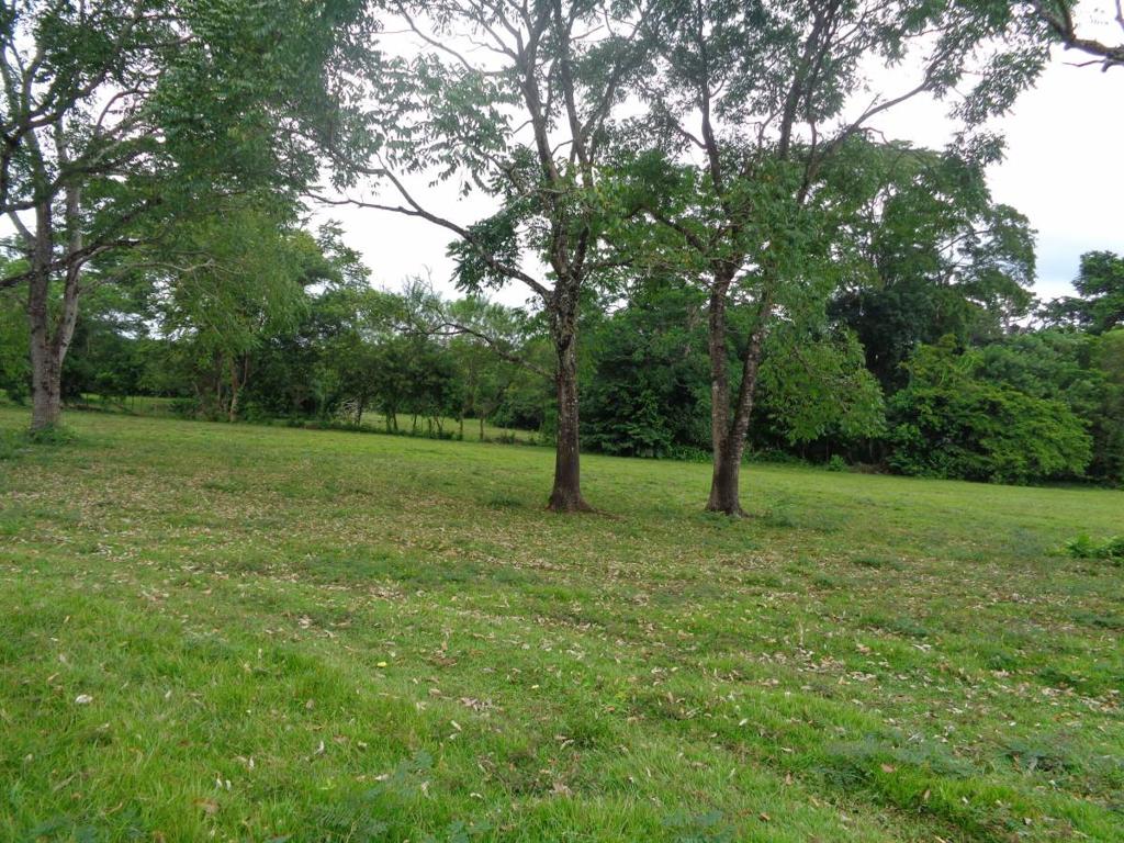 listing image with ID 104421