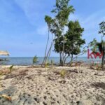 listing image thumbnail with ID 96567