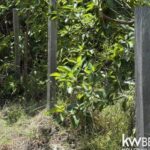 listing image thumbnail with ID 87227